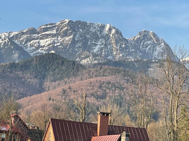 Modrzejewska Residence Zakopane Ngoại thất bức ảnh